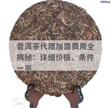 探索州普洱茶 官方聯系、優選代理與銷售全攻略